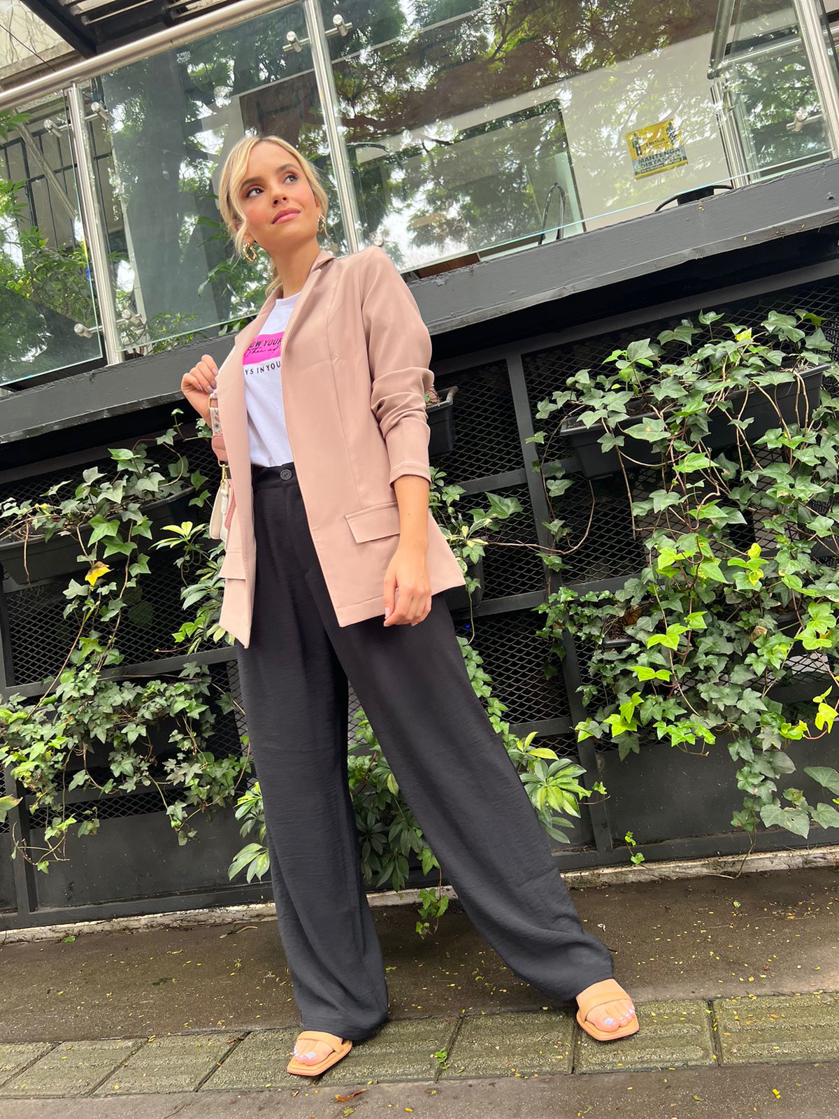 Blazer Dana